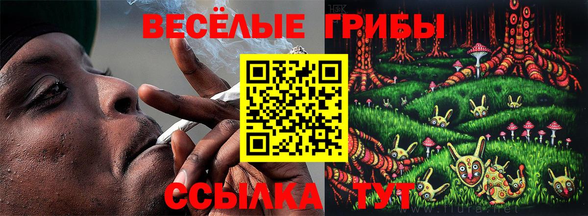 Заводоуковск  Галлюциногенные грибы GOLDEN TEACHER  Галлюциногенные грибы Psilocybe  Вход с VPN 