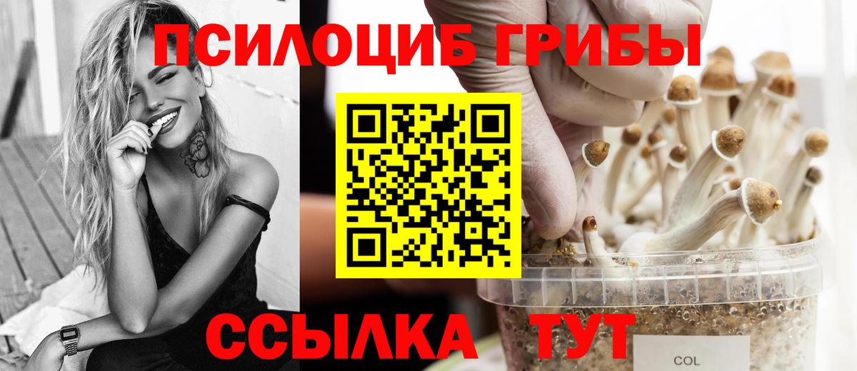 Галлюциногенные грибы Cubensis Заводоуковск