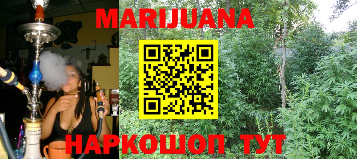 МАРИХУАНА план  Вход с VPN  Заводоуковск  Каннабис сатива  Марихуана марихуана 